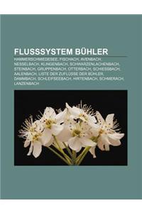 Flusssystem Buhler