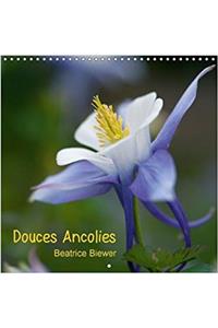 Douces Ancolies 2018