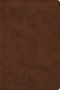 ESV Reader's Bible (Trutone, Brown)