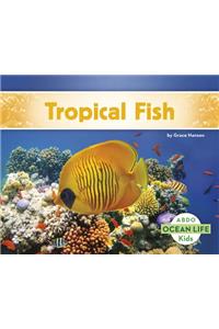 Tropical Fish