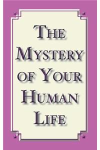 The Mystery of Your Human Life