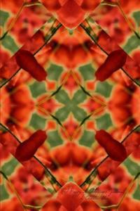Red Poppy Kaleidoscope Journal