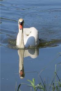 Swan and her Reflection in the Water Journal