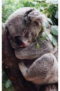 Cute Koala Lined Notebook - 120 Page, 5x8, Lined Blank Book With a Cute Koala