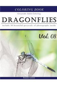 Dragonflies