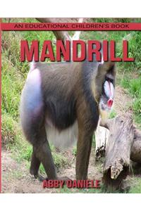 Mandrill! An Educational Children's Book about Mandrill with Fun Facts & Photos