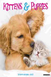 Kittens & Puppies 2023 Wall Calendar