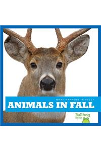 Animals in Fall