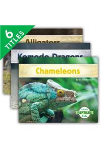 Reptiles (Set)