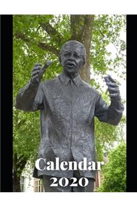 Politician Calendar 2020