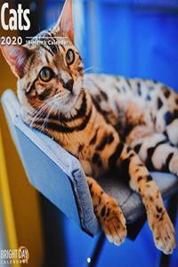 CATS WALL CALENDAR 2020