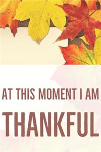 At This Moment I Am Thankful