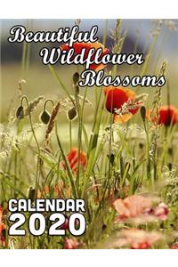Beautiful Wildflower Blossoms Calendar 2020