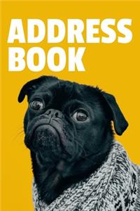 Address Book