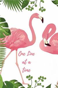 One Line at a Time