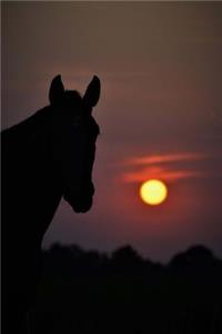 Equine Sunset Journal