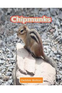 Chipmunks: Fun Facts and Amazing Photos of Animals in Nature