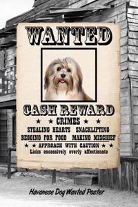 Havanese Dog Wanted Poster