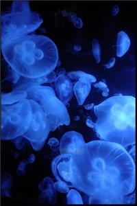 Blue Jellyfish Notebook