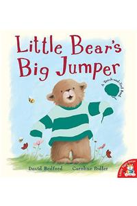 Little Bear's Big Jumper