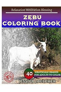 Zebu Coloring Book for Adults Relaxation Meditation Blessing: Sketches Coloring Book 40 Grayscale Images