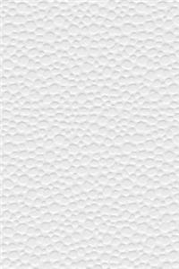 Stucco Texture 2 Journal