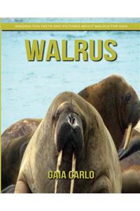 Walrus