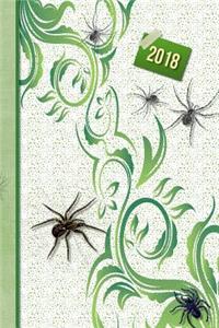 Spider 2018 Diary