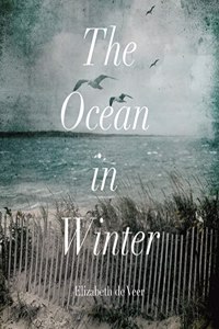 Ocean in Winter Lib/E