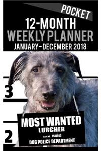 2018 Pocket Weekly Planner - Most Wanted Lurcher