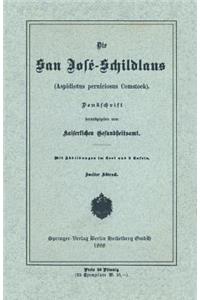 Die San José-Schildlans