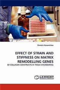 Effect of Strain and Stiffness on Matrix Remodelling Genes