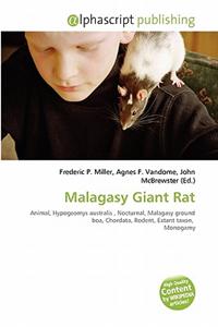 Malagasy Giant Rat