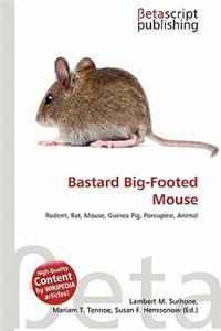 Bastard Big-Footed Mouse