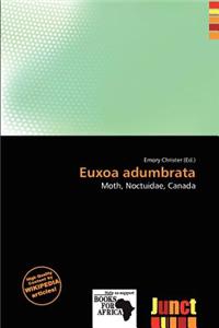 Euxoa Adumbrata