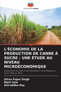 L'Économie de la Production de Canne À Sucre