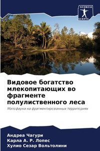Видовое богатство млекопитающих во фрагм