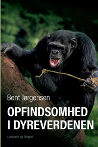 Opfindsomhed i dyreverdenen