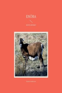Enöra