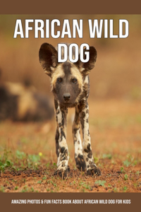 African Wild Dog