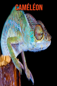 Caméléon