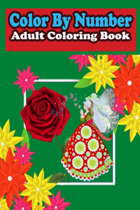 Color By Number Adult Coloring Book