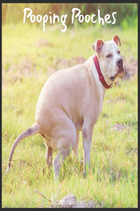 Pooping Pooches 2021 Calendar