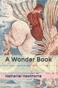 A Wonder Book