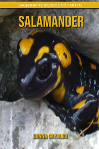 Salamander
