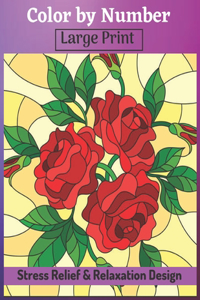Color by Number Large Print Stress Relief & Relaxation Design