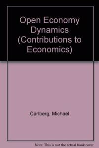 Open Economy Dynamics