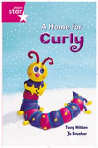 A Home for Curly