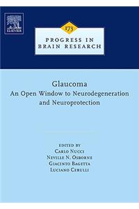 Glaucoma: An Open-Window to Neurodegeneration and Neuroprotection