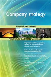 Company strategy Standard Requirements